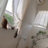 ちょこぱん！！