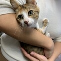 超フレンドリーな穏やかな　ミミちゃん❣️