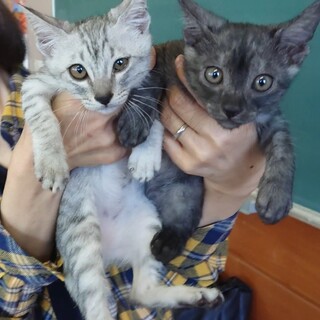 仲良し兄妹☆２匹一緒に