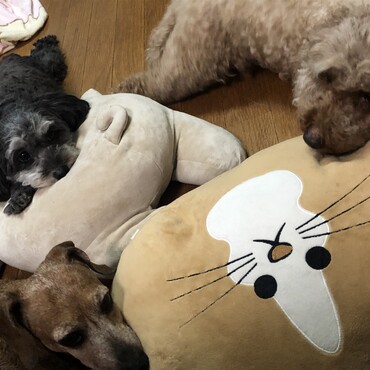 の写真
