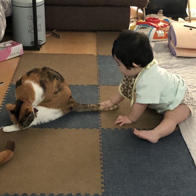 みゆお。のカバー写真