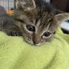 あちゃん♡