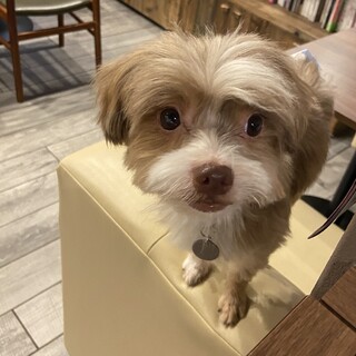 元気いっぱいジョアンくん