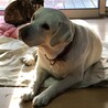 よーいち❀