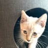 nuuあやや