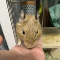問い合わせ対応中のため一時終了