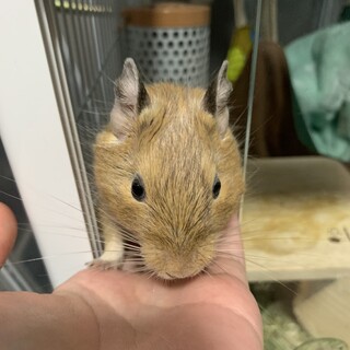 問い合わせ対応中のため一時終了