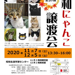 名古屋市昭和区★昭和にゃんこ譲渡会★