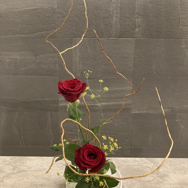 さそりんのカバー写真