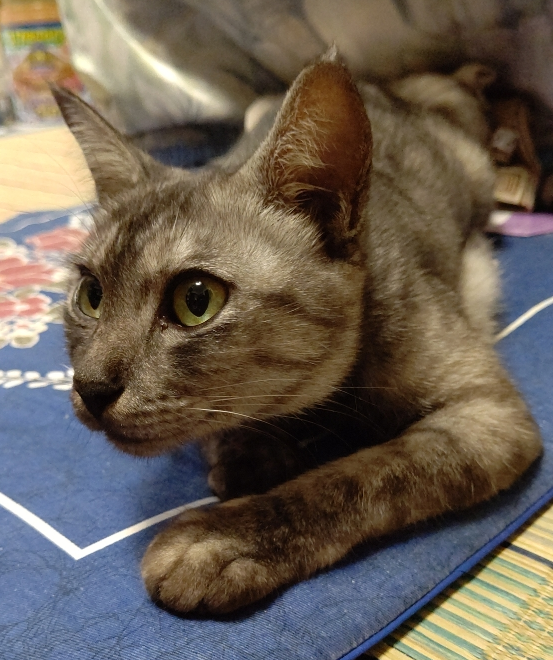 ちびちゃん・・ありがとうございました。 サムネイル3