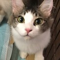 誰よりも主張をするももちゃん