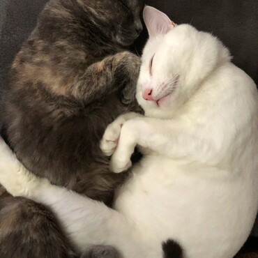 いつも仲良し♡