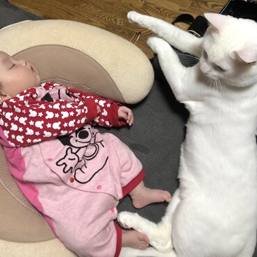 子守中、、、