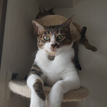 の写真