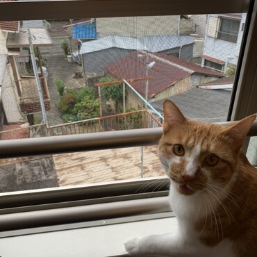 の写真