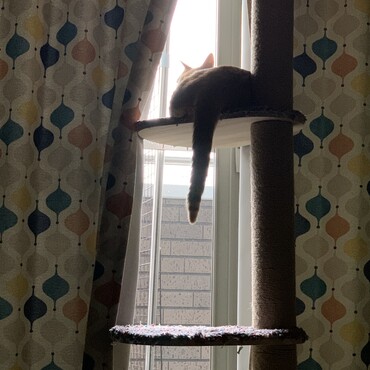 の写真