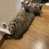 両手に白手袋、両足に白足袋をはいてます。