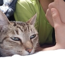 腕枕が大好き