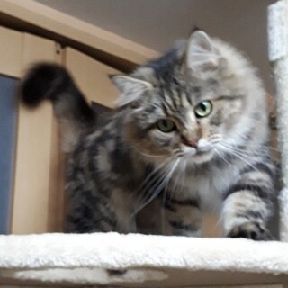 新たなご家族ができました♪