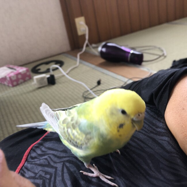 塩。のカバー写真