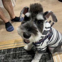 ふく