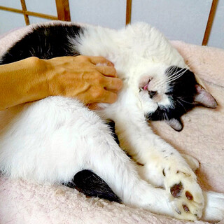 一緒にいると癒される♪パンくん