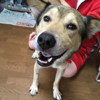 心優しい男子「ムギムギ」