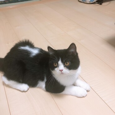 狙ってます