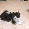 狙ってます