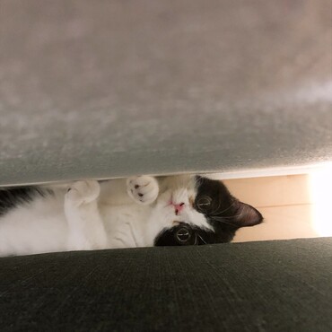 狙ってます