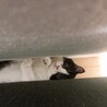 狙ってます