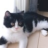 窓辺のぶぶ