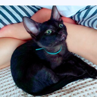 特技は渋顔〝フランク君★〝