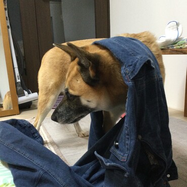 の写真