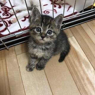 ありがとうございました★*ﾟ可愛いすずめちゃん