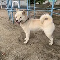 元気な男の子です！