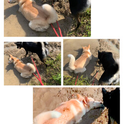 「失敗...」サムネイル1