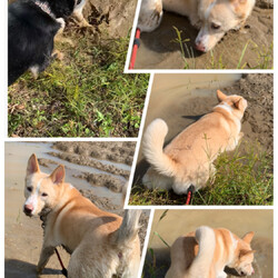 「失敗...」サムネイル2