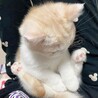 KYOキョ