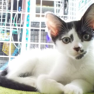 元気な甘えっ子汐音