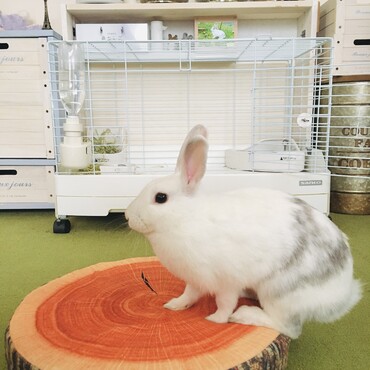 の写真