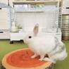 の写真