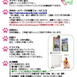 保護ねこ譲渡会（武田ミシン2階） サムネイル3