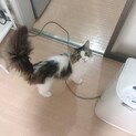 優しい里親さん見つかりました。