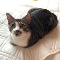 ゆきち