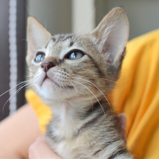 ひっつき虫の“オメガ君❤️”