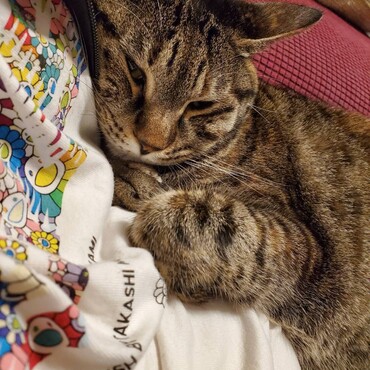 寒いから最近はベッタリ…