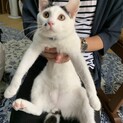 人懐っこくて優しい男の子♪
