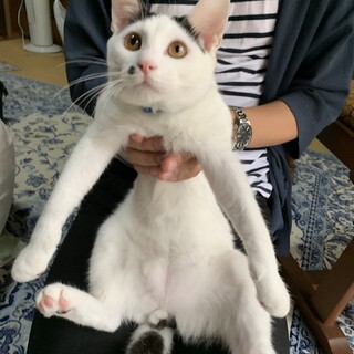 人懐っこくて優しい男の子♪