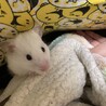 けぇちゃん19